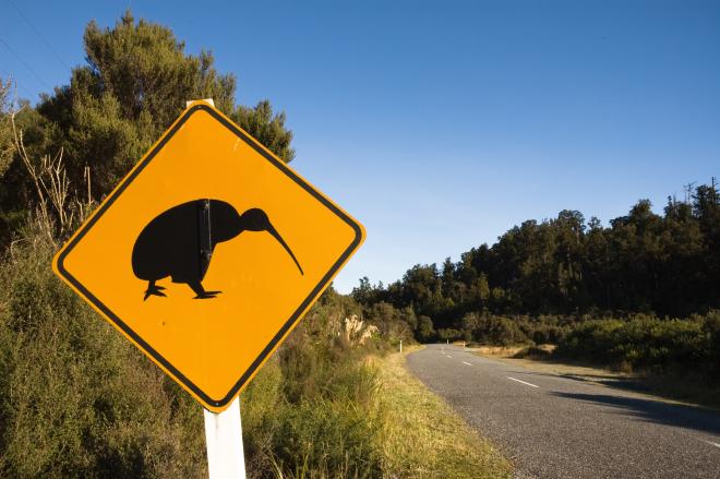 Road sign warning for kiwis